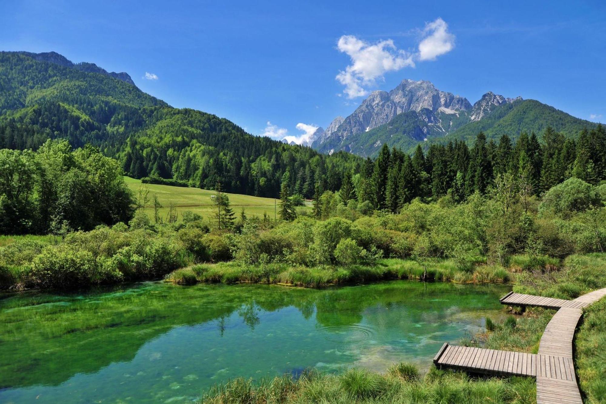 Alpine Retreat Gaja Kranjska Gora - Happy Rentals Eksteriør billede